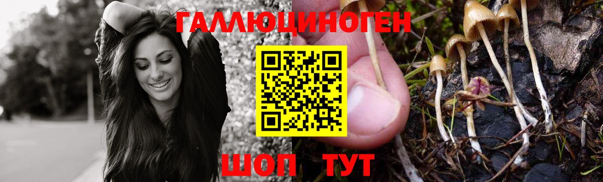 Галлюциногенные грибы Psilocybe  Вход с VPN  Галлюциногенные грибы GOLDEN TEACHER  Сальск 